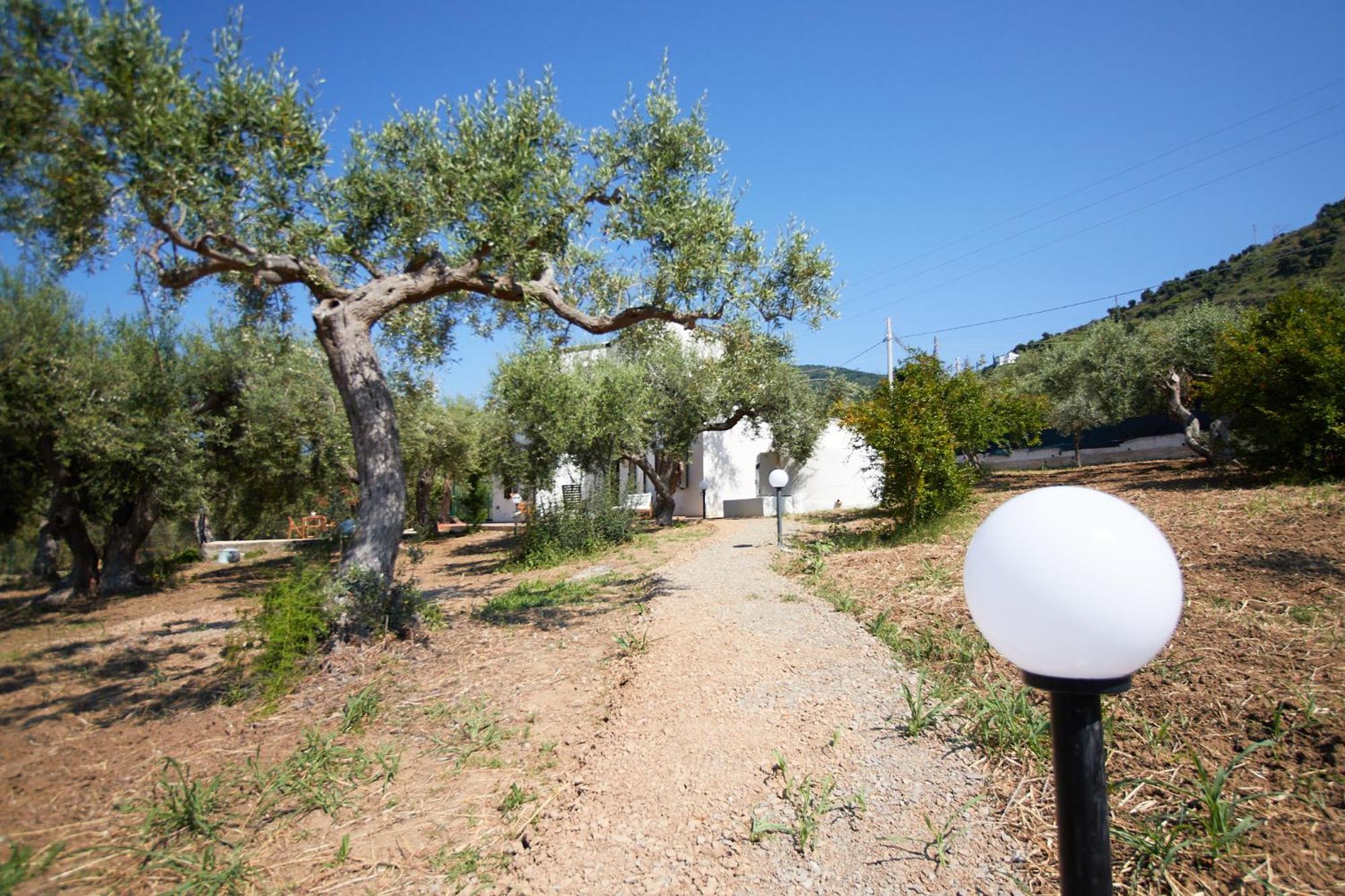 Villa Daniela Cefalù Exterior foto